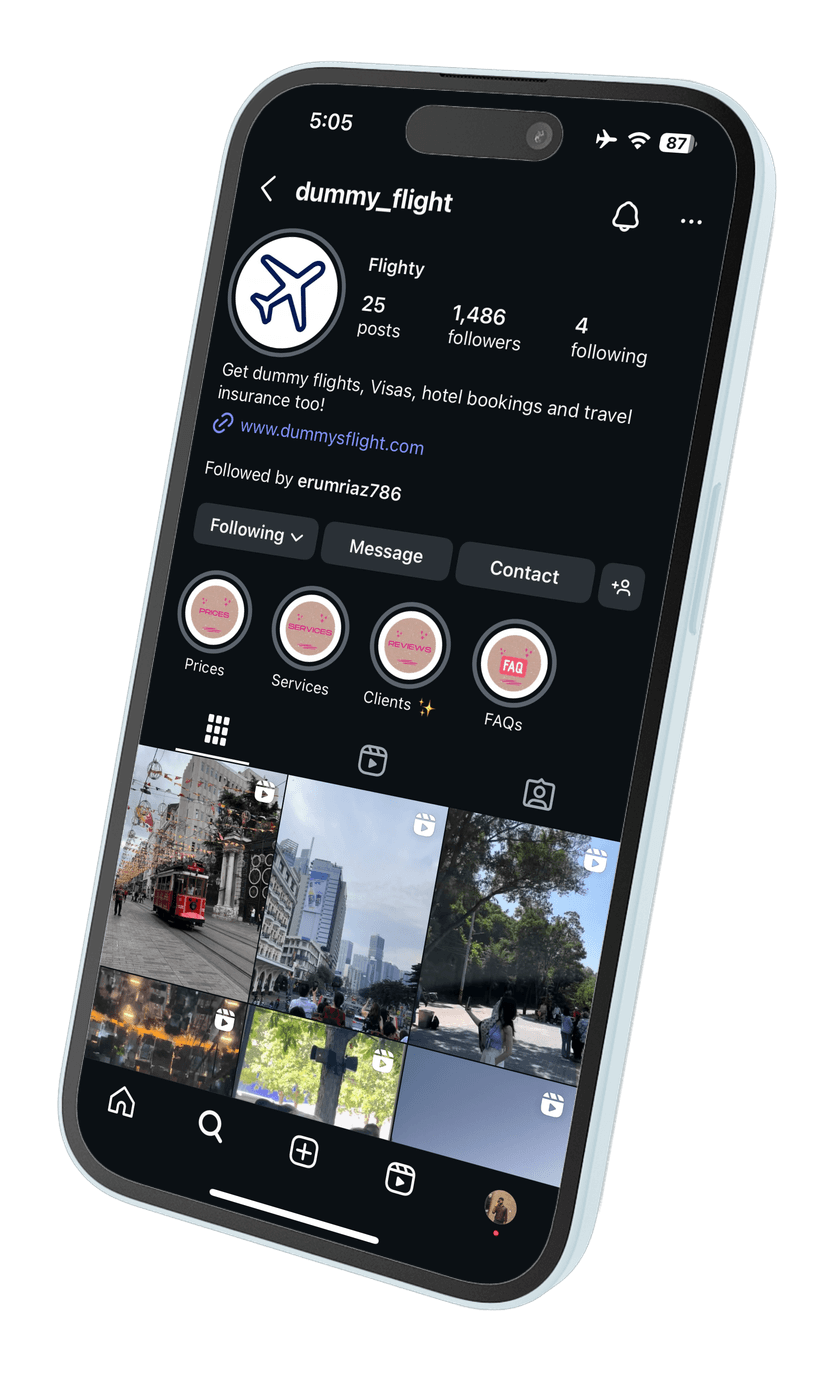 Dummys Flight Instagram Profile